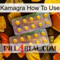 Kamagra How To Use new10